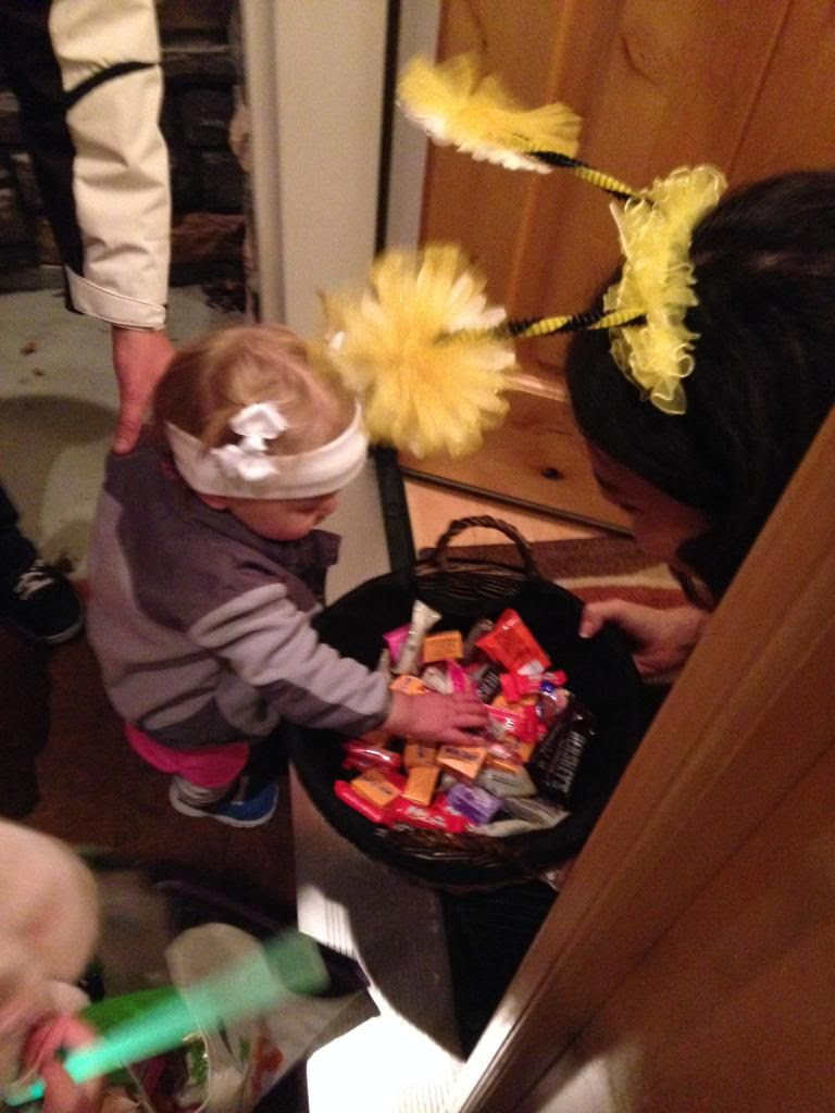  photo IMG_1452_zps73a3d382.jpg