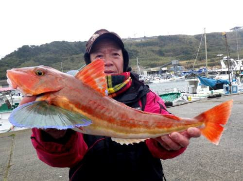 飯岡幸丸 デカかったホウボウ 釣りバカ奮闘記 楽天ブログ