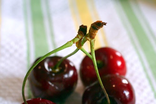 Did I tell you Alex and I had