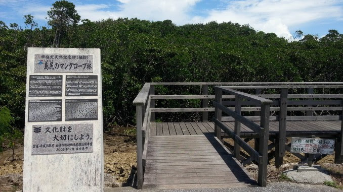 宮古島4時間弾丸観光コース 下地島大橋見物 島尻マングローブ林 キムラのメモ