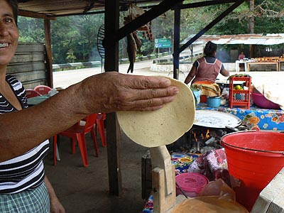 tortilla crue.jpg
