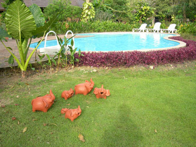 Thailand Resort