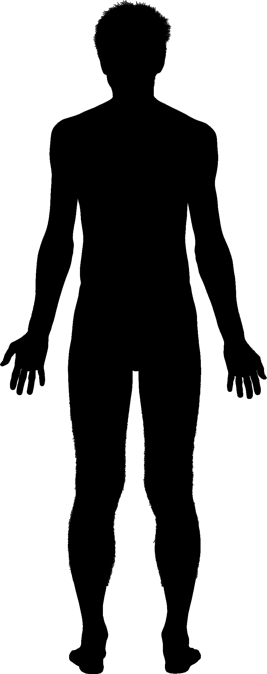 Download Human Body Silhouette Svg Clip Art Library