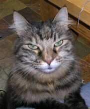 Image hosted by Photobucket.com