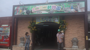 ミニミニ動物園に行ってきました 猫 音楽 食 旅ブログ