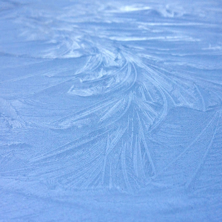 2ndfrost2017.jpg