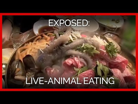STOP Eat Animal Alive!