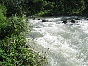 http://annova.files.wordpress.com/2008/12/resize-of-sungai-elo.jpg