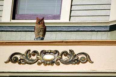2wol.jpg