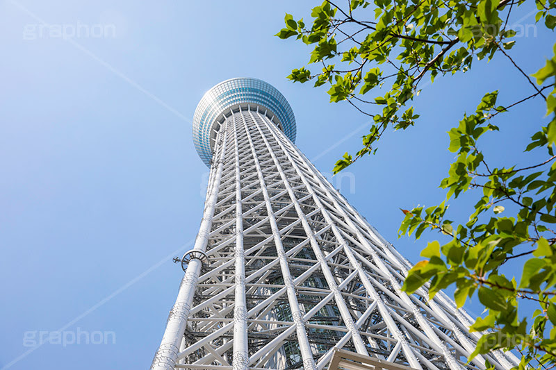 東京スカイツリー グラフォン無料素材