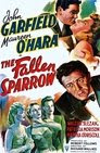 1-The Fallen Sparrow