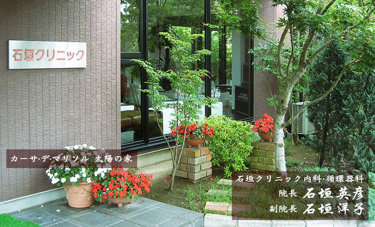 Casa De Marisol カーサ デ マリソル 太陽の家 コンセプト