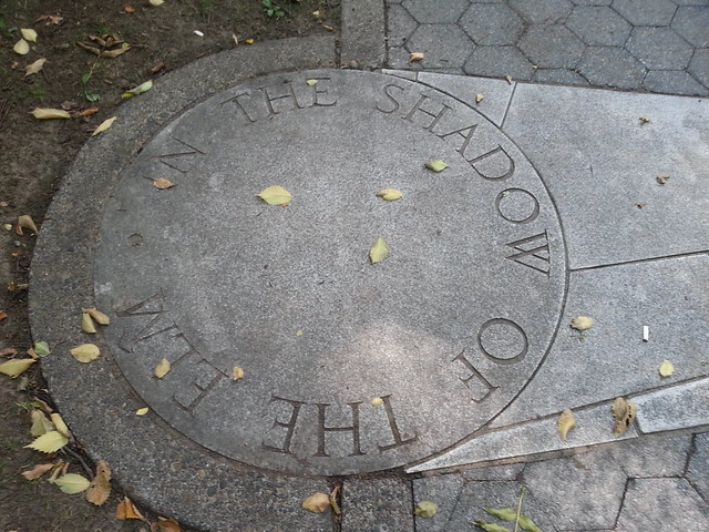 In the Shadow of the Elm