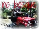 BannerFans.com