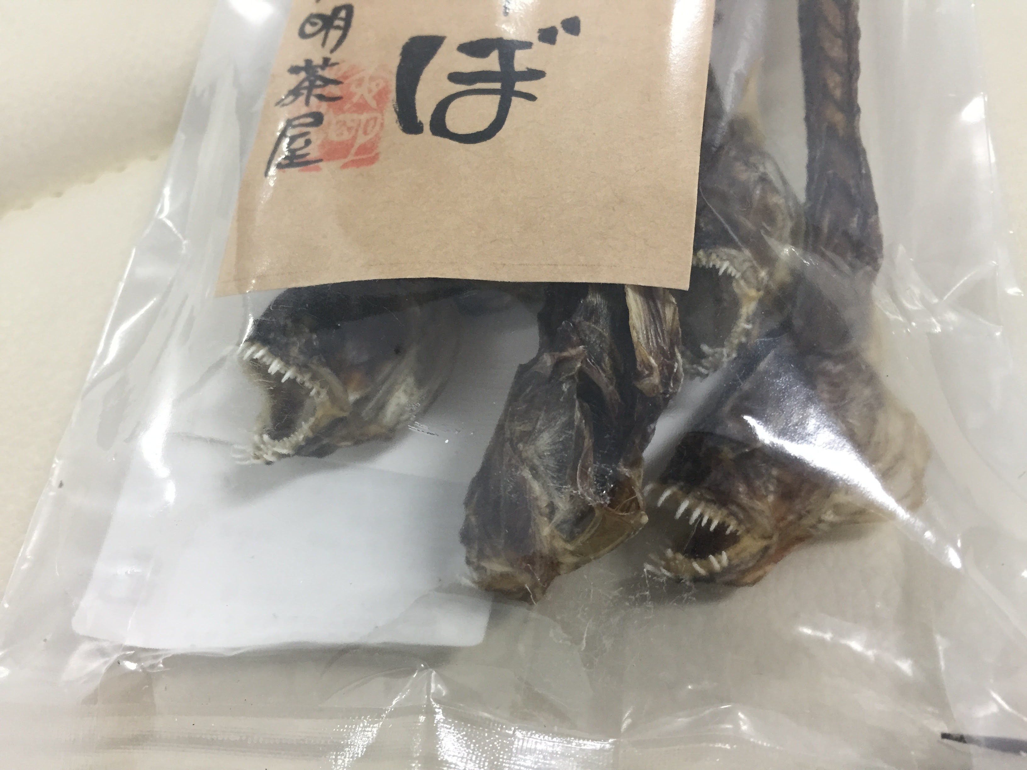 お土産はエイリアンの干物だお ラボ日記