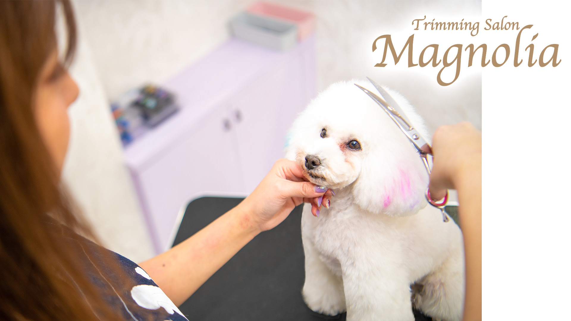 名古屋市昭和区のトリミングサロン Magnolia