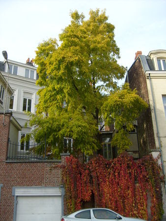 lille_178