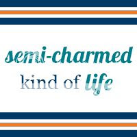 200x200 Button for Semi-Charmed Kind of Life