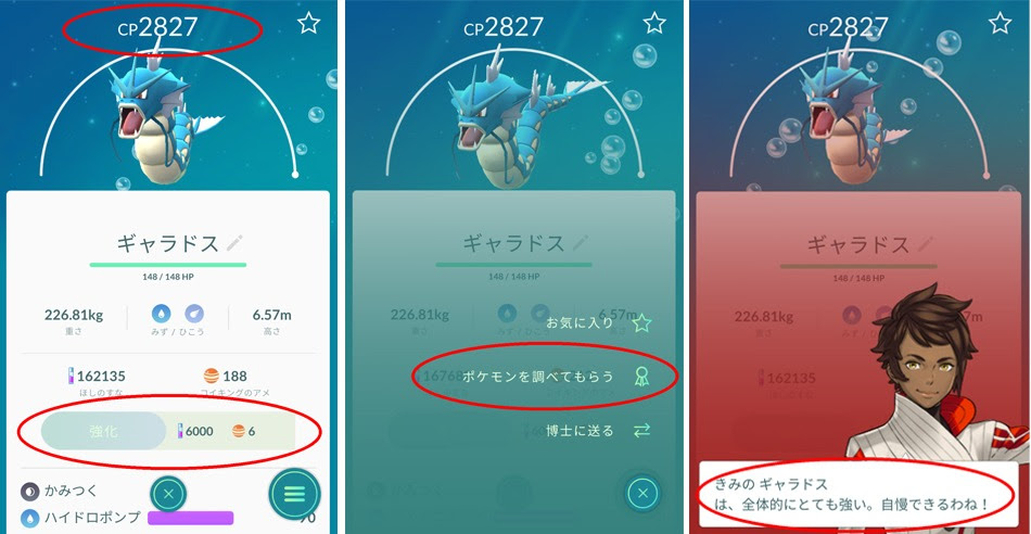 ポケモンの個体値は 中高年にオススメ ポケモンgoの遊び方 その11 ポケモンを調べよう ｑｂｃ 九州ビジネスチャンネル 遊ぶ