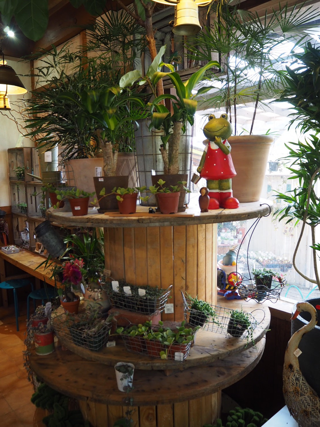 ｈａｒｕｈｉ日和 出店者情報 No 4 嬉野 分校cafe Haruhi