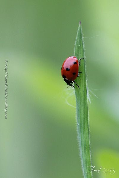 IMG_9057-signée