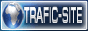 promovarea online