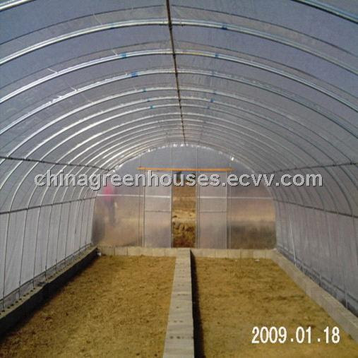 Plastic High Tunnel Greenhouse for Sale (CGS625S)   China Greenhouse    greenhouse plastic film south africa