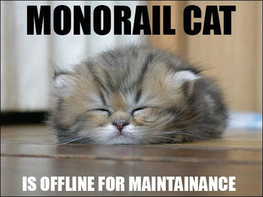 Kitty photo -  good cat names