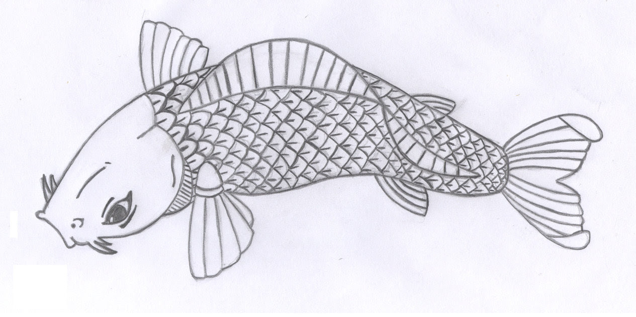 Free Fish Drawings Download Free Clip Art Free Clip Art On Clipart Library