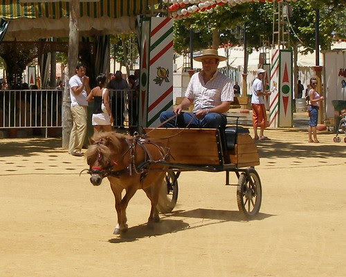 Coche de Caballos