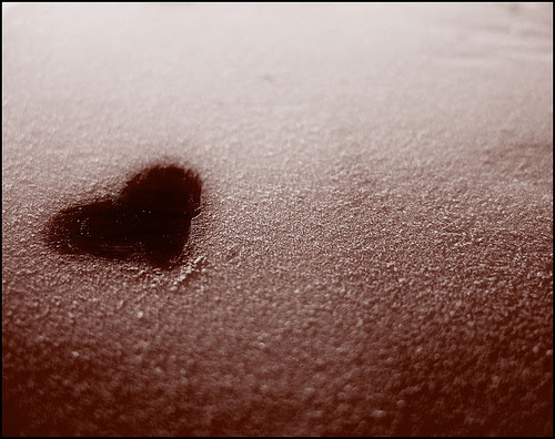 What love is not