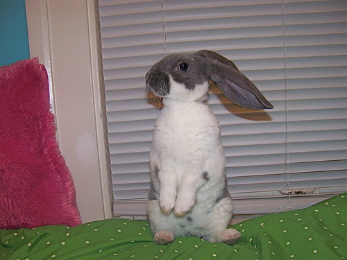 What's that?