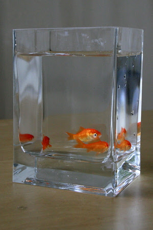 goldfish bowl table centerpieces. DIY candle centerpieces.
