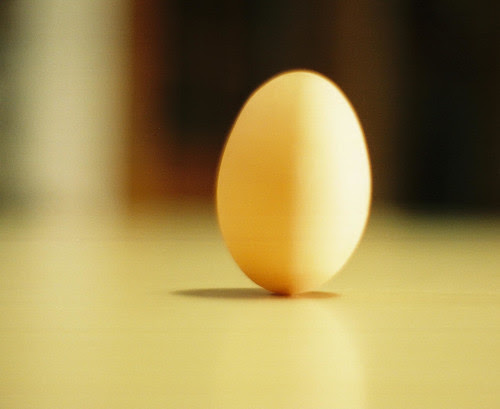 one egg standing por Circles of Grace.