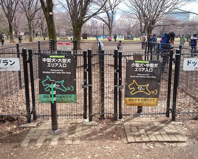 dog socialising in yoyogi park