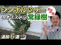コンプリート！ 常緑樹 シンボルツリー 214304-常緑樹 シンボルツリー 中木