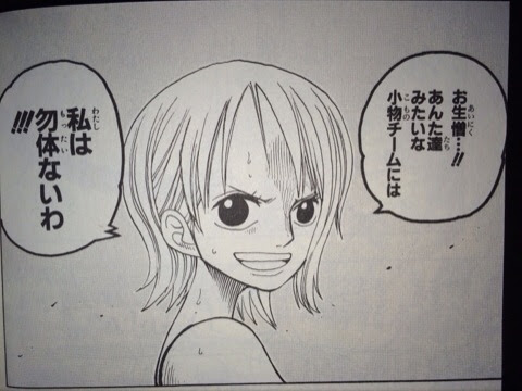 ナミ お生憎 あんた達みたいな小物チームには 私は勿体ないわ One Piece ワンピースの画像付名言集 ネタバレ注意