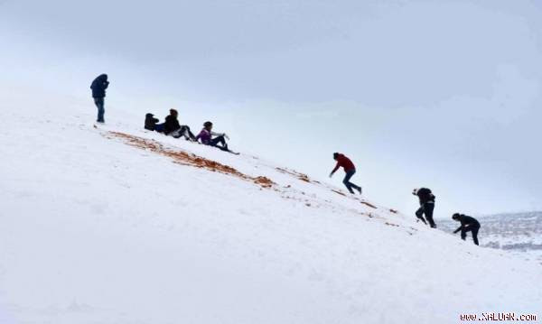 Sa mạc Sahara chìm dưới lớp tuyết dày một mét