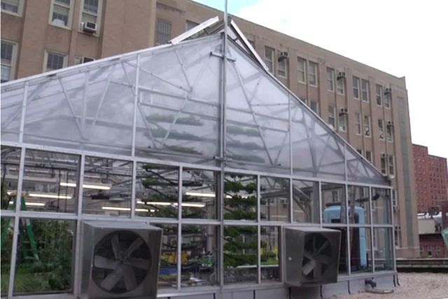 hydroponic urban farming | Agriculture // Passion | Pinterest