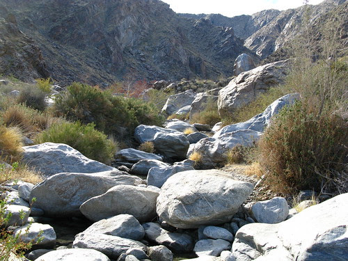 Tahquitz Canyon