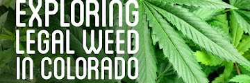Where Is Pot From Free Download Audio Mp3 and Mp4