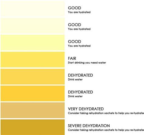 The national health service (nhs) is one of the most important public services in the uk, providing free healthcare to all citizens. example of a urine color chart for hydration assessment 141 download