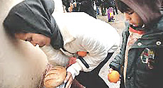 Grecia pane