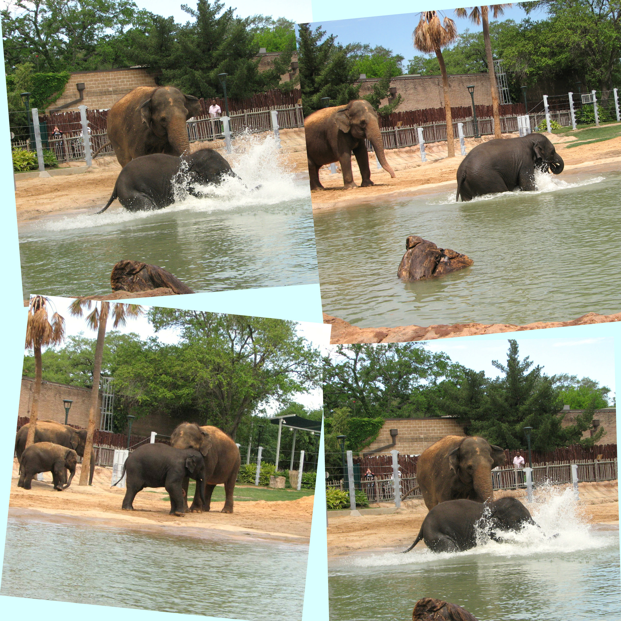 Pool Time