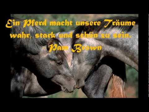 wünsche zum geburtstag der schwester