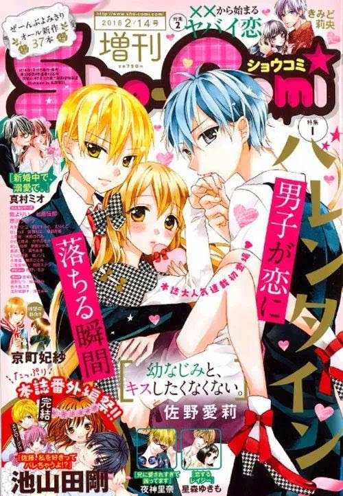 满足你的少女心 日本的少女漫画杂志们