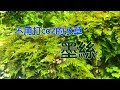 200以上 二酸化炭素 水草 354971-二酸化炭素 水草 不要