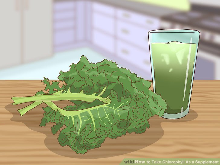 Take Chlorophyll As a Supplement Step 9.jpg