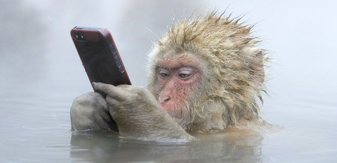 速報 16年お年玉つき年賀状はがき 当選番号発表 Societas ソキエタス