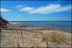 Mouth of the Stream